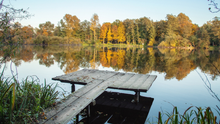Leben > Freiraum | Niederrhein — einfach stark