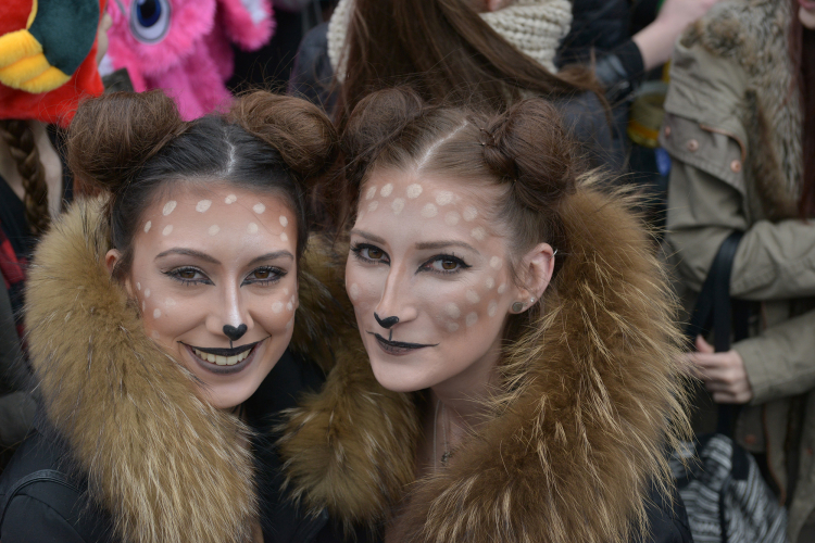 Leben > Lebensraum | Niederrhein — einfach stark